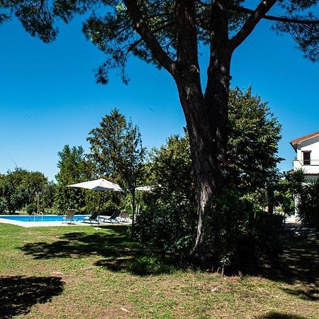 Terre Etrusche Guest House-Terme -3 Minuti Da Viterbo Centro Екстериор снимка