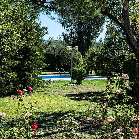 Terre Etrusche Guest House-Terme -3 Minuti Da Viterbo Centro Екстериор снимка