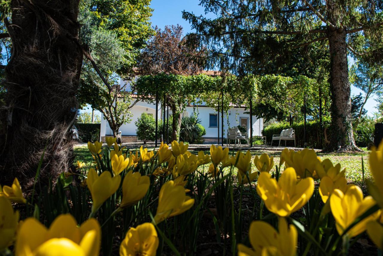 Terre Etrusche Guest House-Terme -3 Minuti Da Viterbo Centro Екстериор снимка
