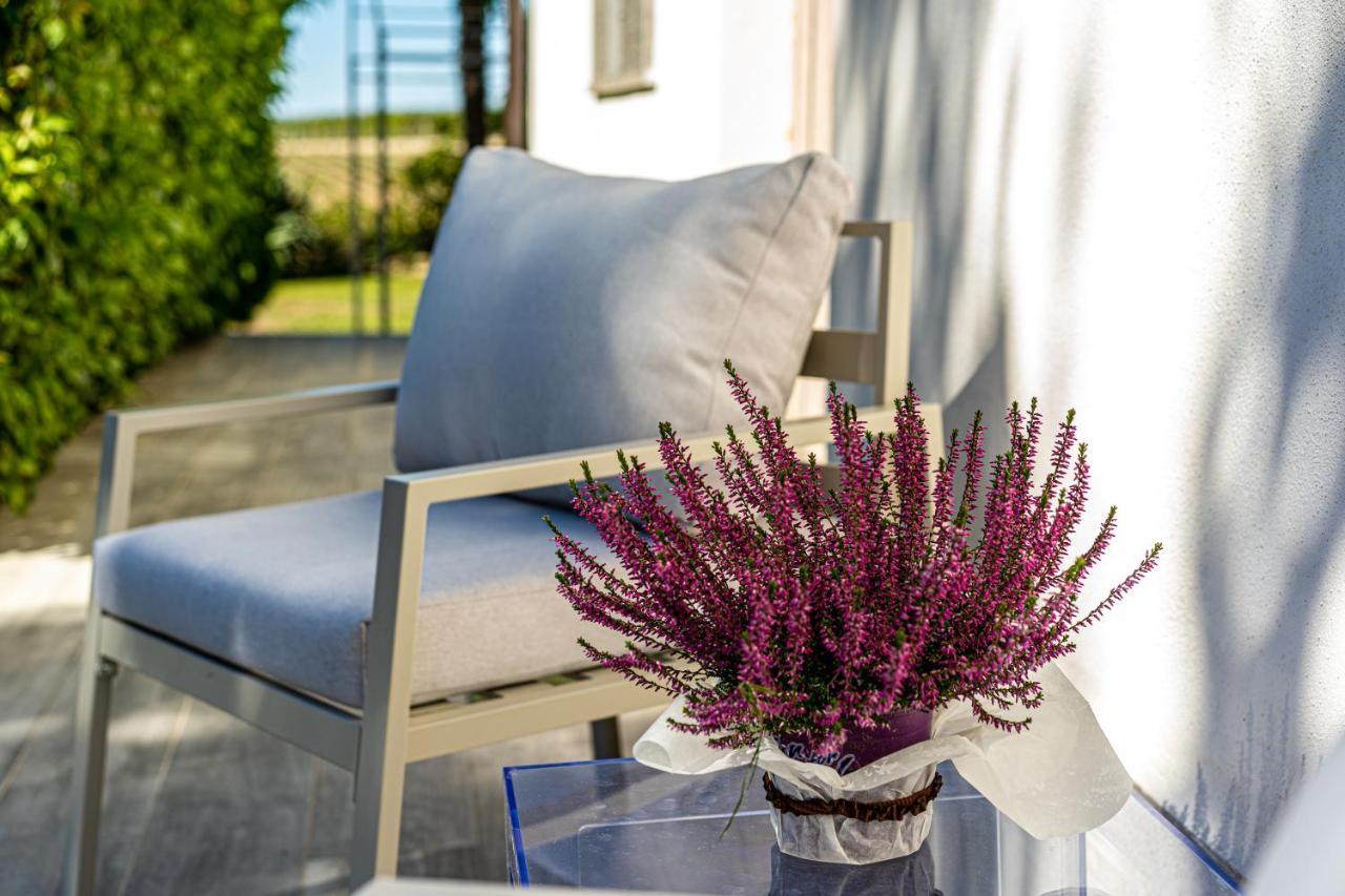 Terre Etrusche Guest House-Terme -3 Minuti Da Viterbo Centro Екстериор снимка